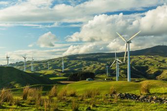 Wind/Solar Farm